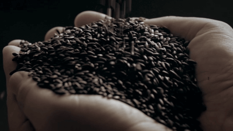 1481110036216406.png blob.png