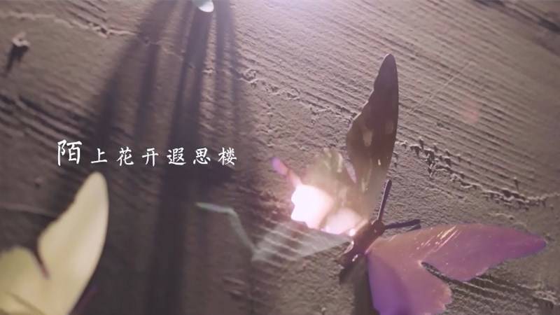 1502269078110393.jpg 11_副本.jpg