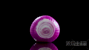 1563780965554507.gif 索利斯手持料理機1-(2).gif