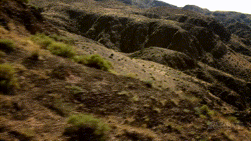 1571797745137701.gif 20191021 奔達摩托 (2).gif